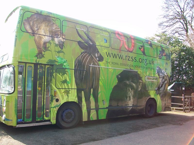 Amaze Pics & Vids Amazing Zoo Buses Photos...