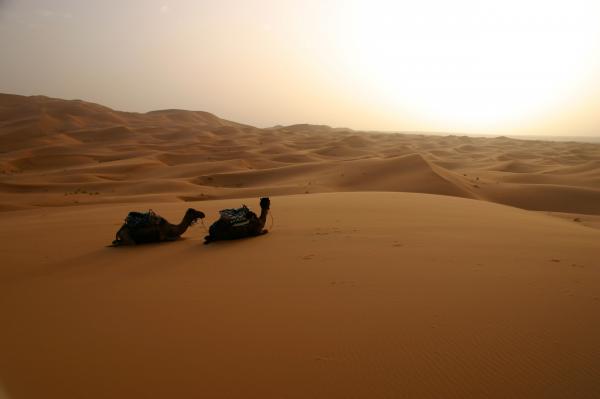 [Desert+Caravan+(1).jpg]
