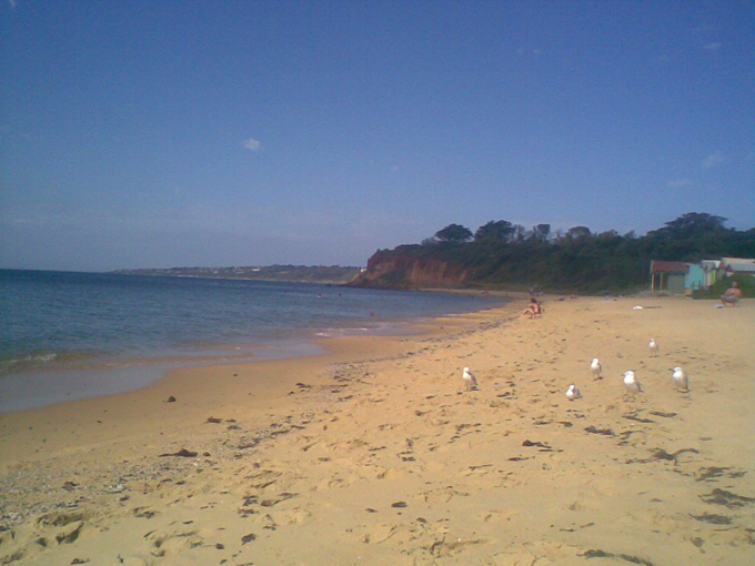 [MorningtonBeach.jpg]