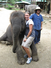 Elephant Farm