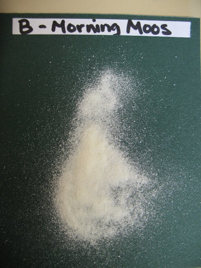 [pwd+milk+test+004.jpg]