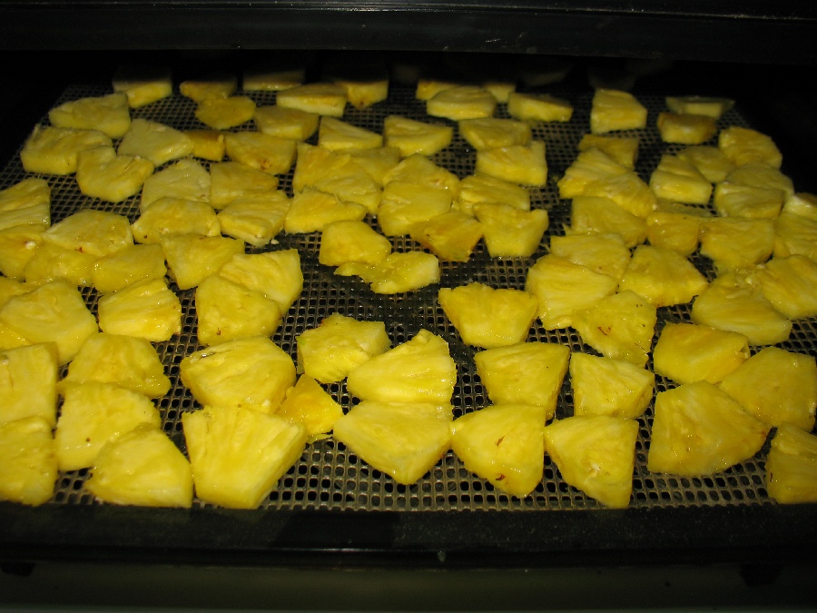 Adventures in Self Reliance Dehydrating Pineapple