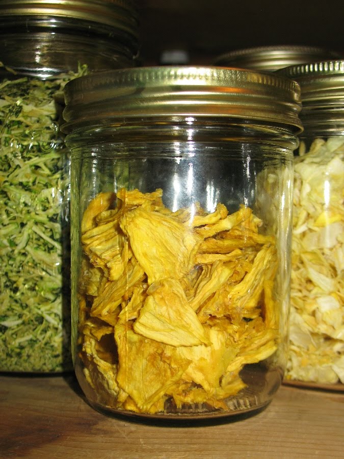 Adventures in Self Reliance Dehydrating Pineapple
