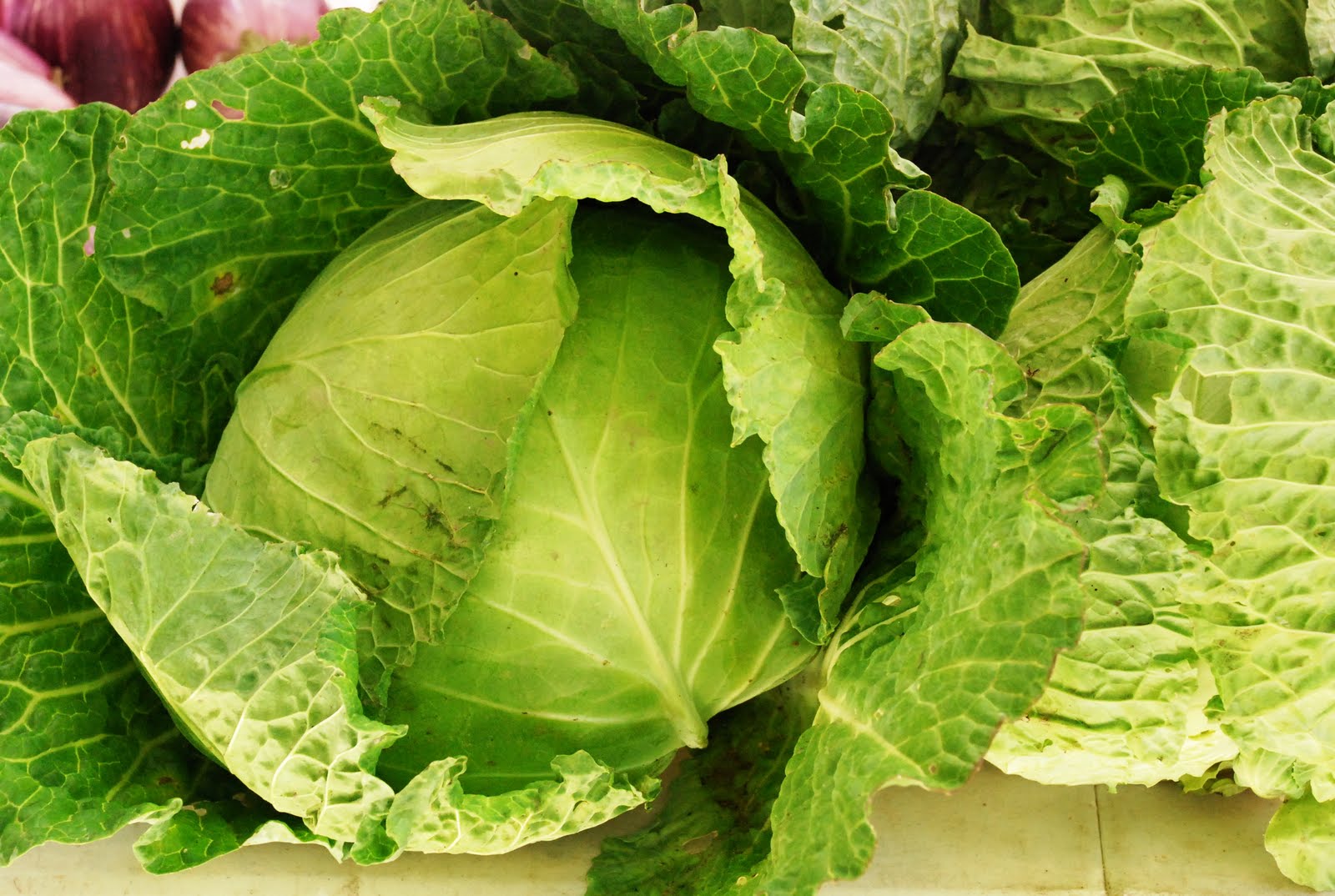 CupCakes and CrabLegs Printers Row Farmers Market