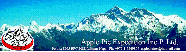 Welcome to Apple Pie Expedition Inc (P.) Ltd.
