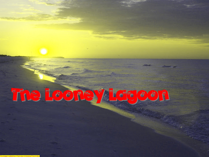 The Looney Lagoon