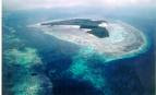 Exotic Wakatobi