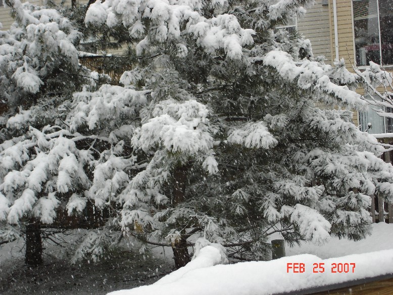 [SNOW6.JPG]
