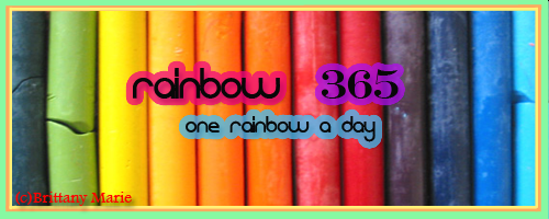 Rainbow 365