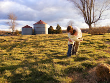 Grammy's Farm