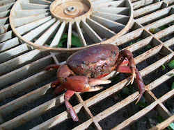 CONHEÇA UM CIRÍ...