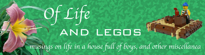 Of Life and Legos