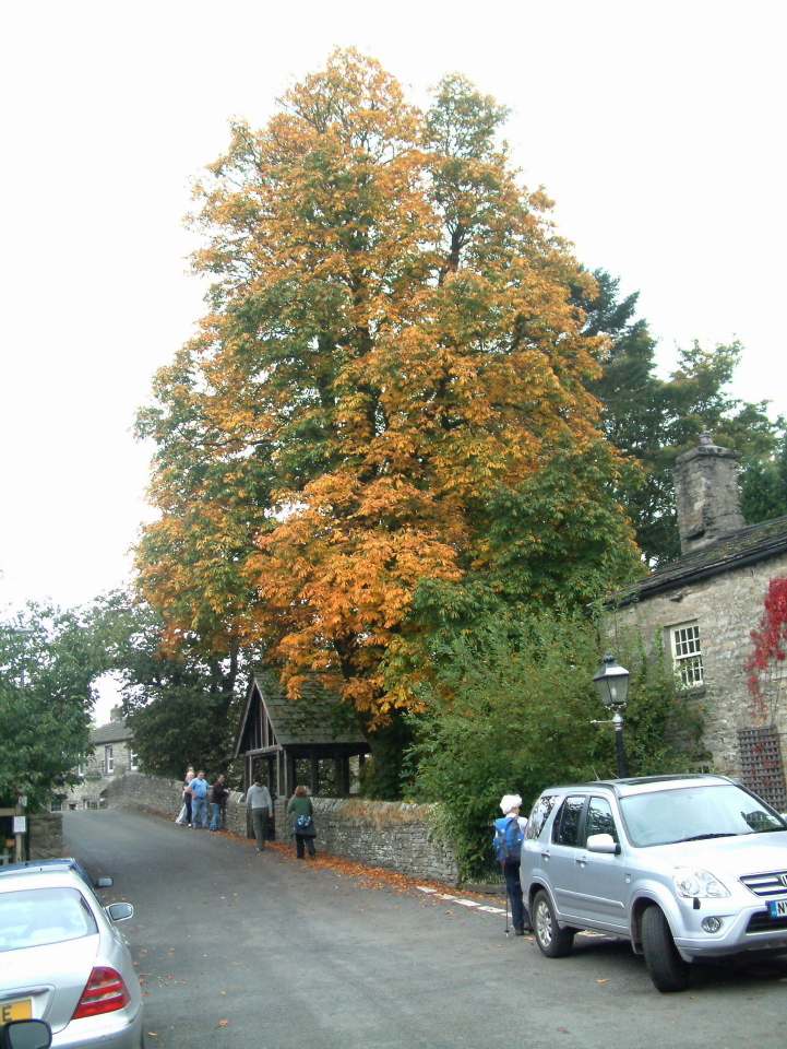 [DSCF0015.JPG]