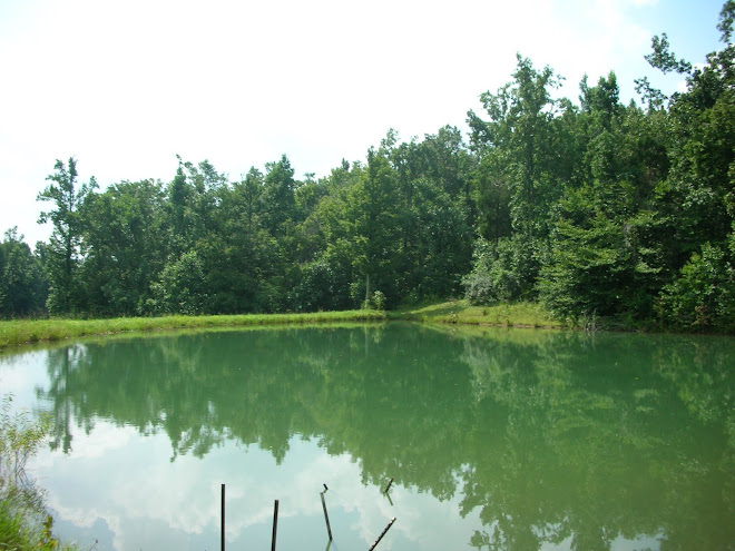 W. H. Southard's farm, August 2009