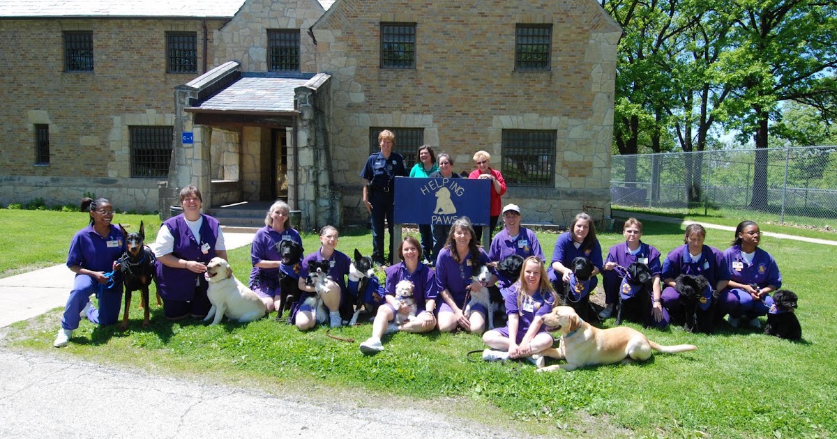 PRISON DOG PROGRAMS BRIDGES and PATHWAYS of COURAGE WHAT ARE PRISON