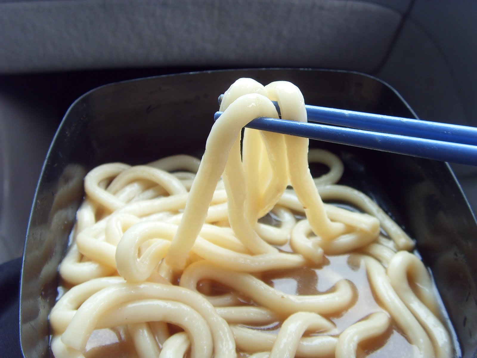 Plain Udon Noodles