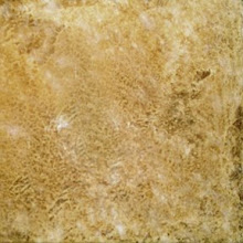 DESERT STONE