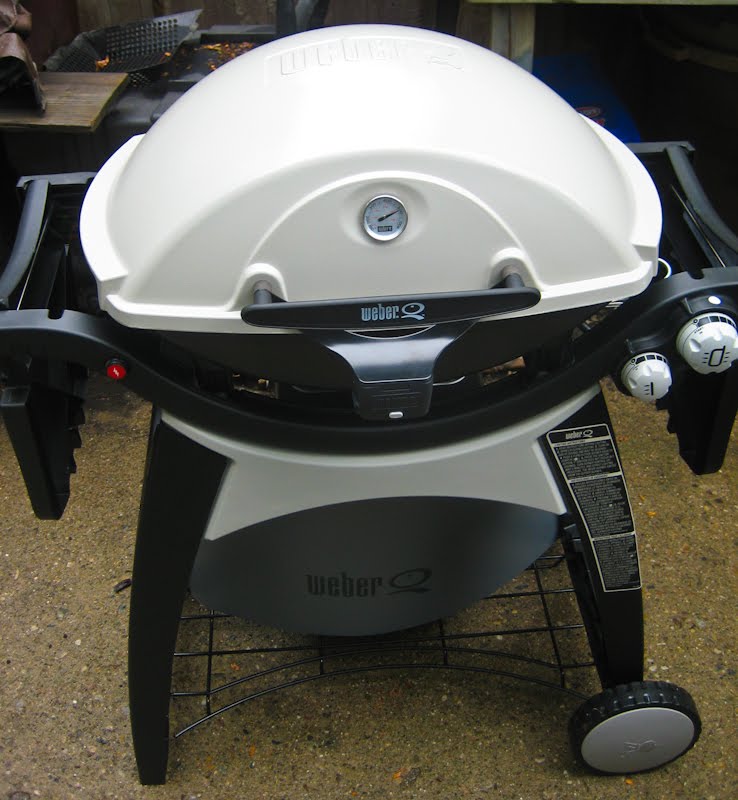 The Southeast Michigan Slow Food Review er Q320 Propane Grill