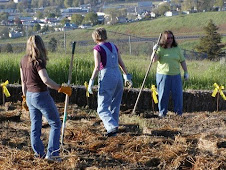 Masters of gardening