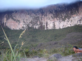 Roraima Gran Sabana VENEZUELA