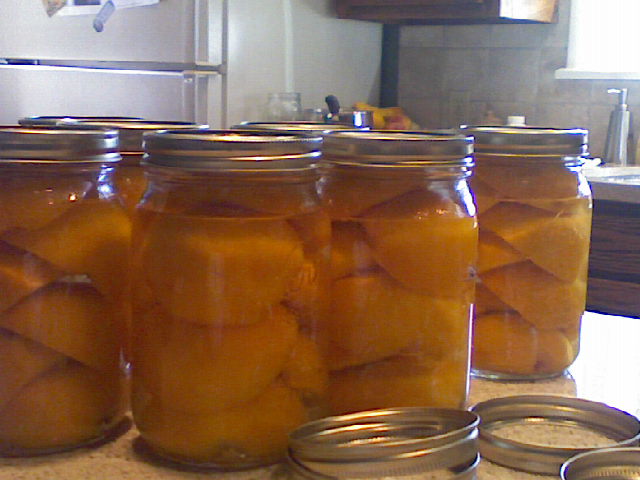 [peaches.jpg]