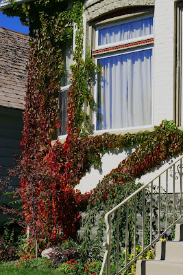 Isabella Conservation District Environmental Education Program