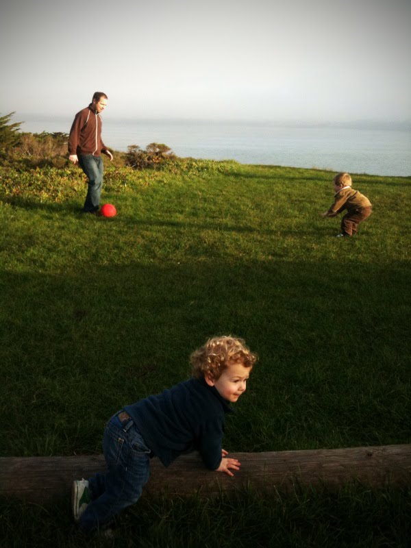 [marinheadlands1.jpg]