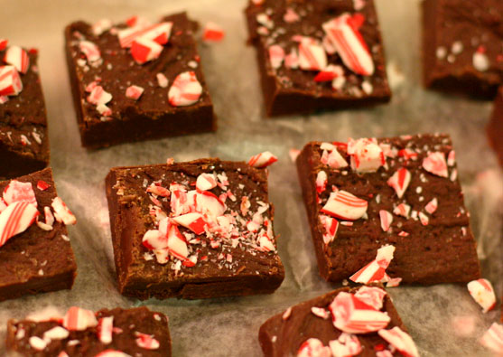 [peppermintfudge.jpg]