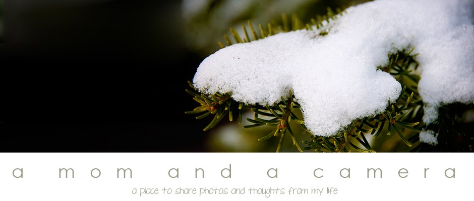 Photographs and Photography Tips by A Mom and a Camera