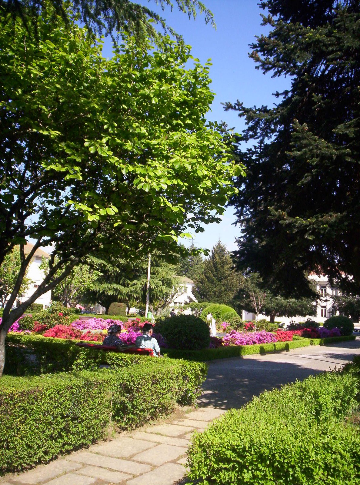 [satao_25abril09+043.JPG]