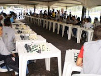 Nocaute no xadrez – Jornal Semanário