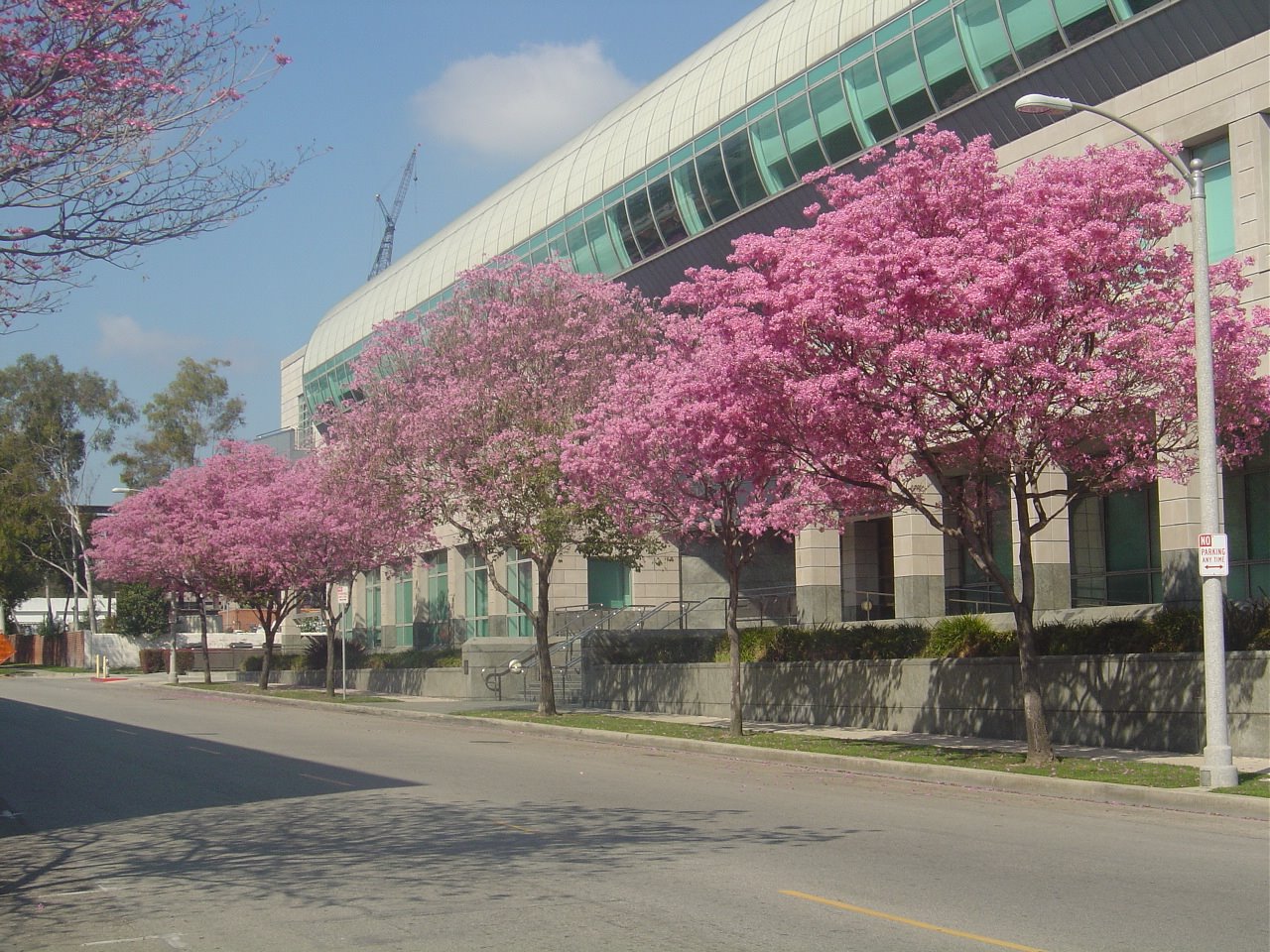 [DSC01740.JPG]