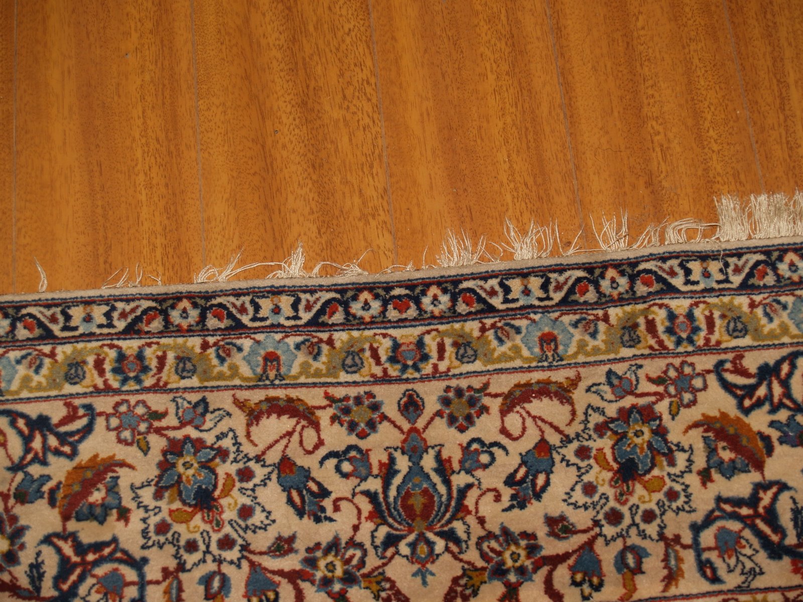 [P1016414.JPG]
