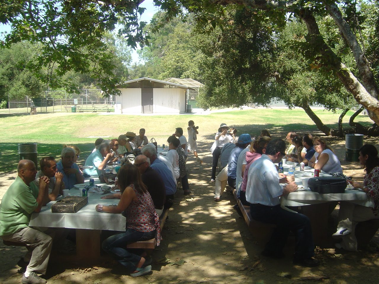 [DSC00365.JPG]