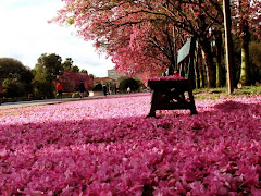 Porto Alegre - REDENÇÃO NA PRIMAVERA