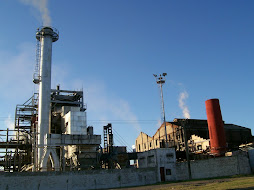 Fabrica de Tanino en Formosa