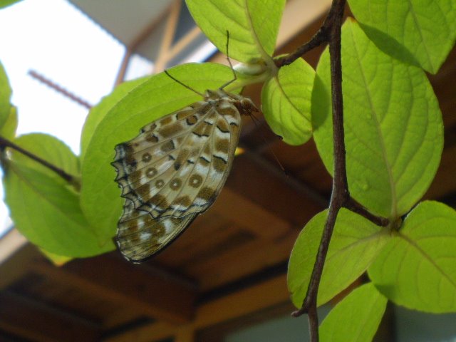 [タイイング１.JPG]