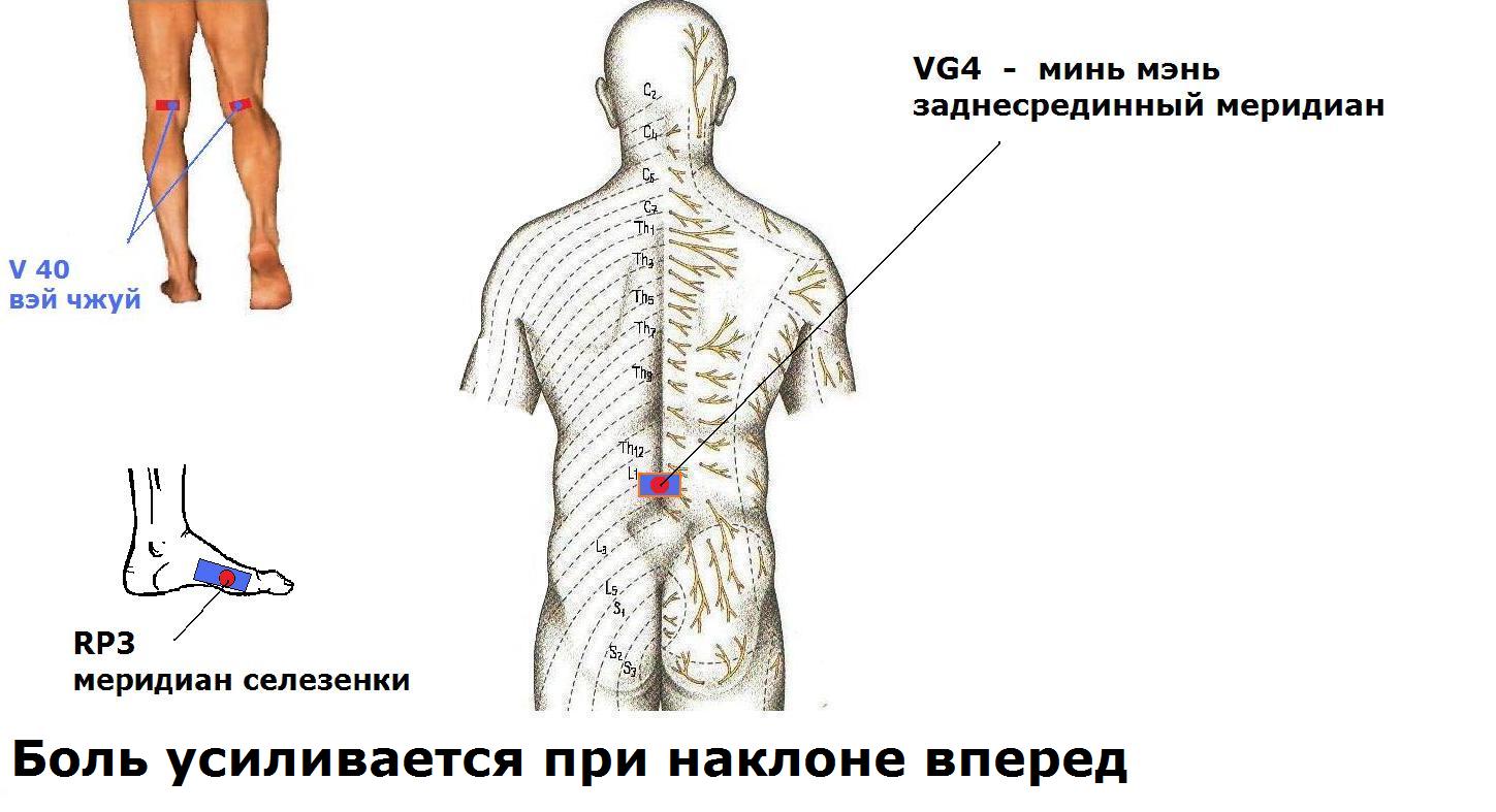лекарства выводящие паразитов из организма лекарства выводящие паразитов из организма