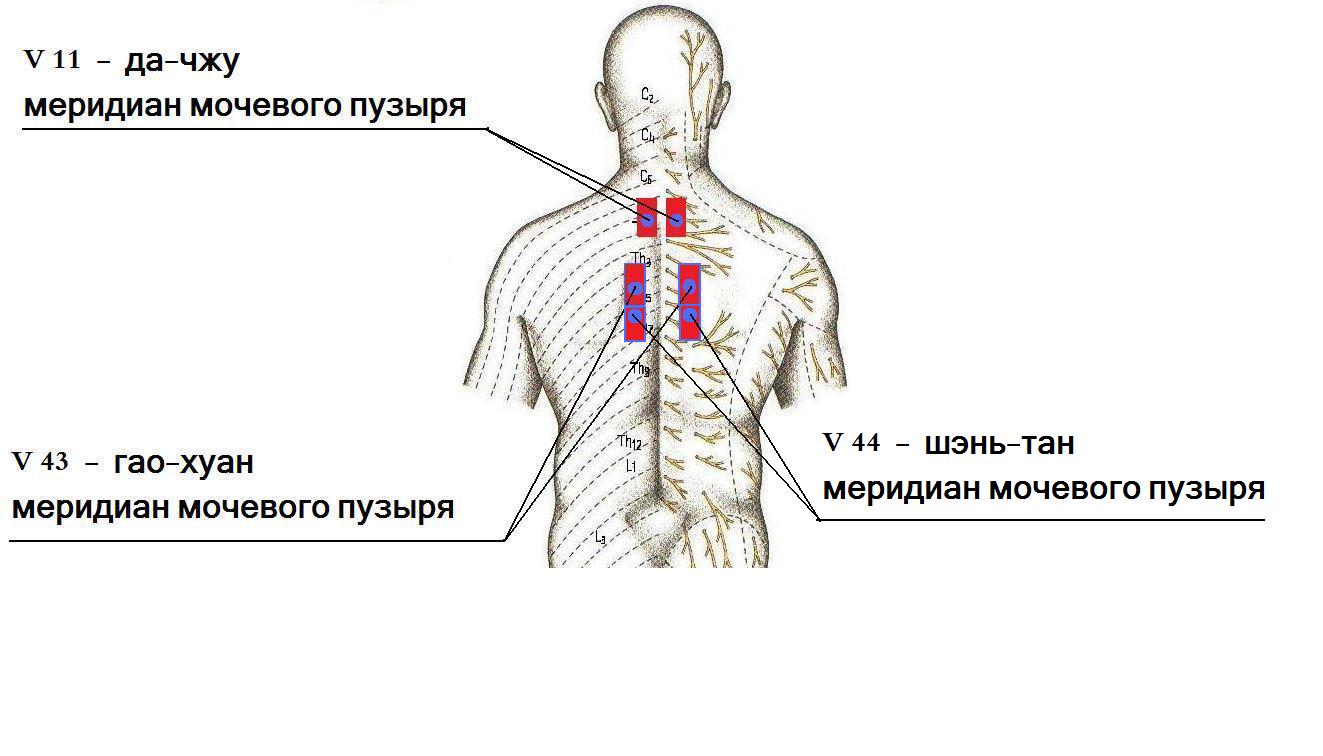 Точки на теле и их смысл Точки на теле и их смысл
