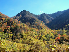 Beauty of the Smokies