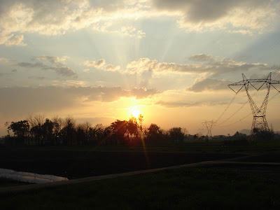 Electric Pole Picture