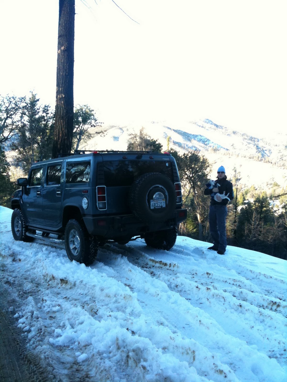 [Anne+Astro+Hummer.JPG]