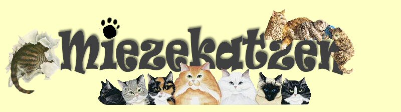miezekatzen