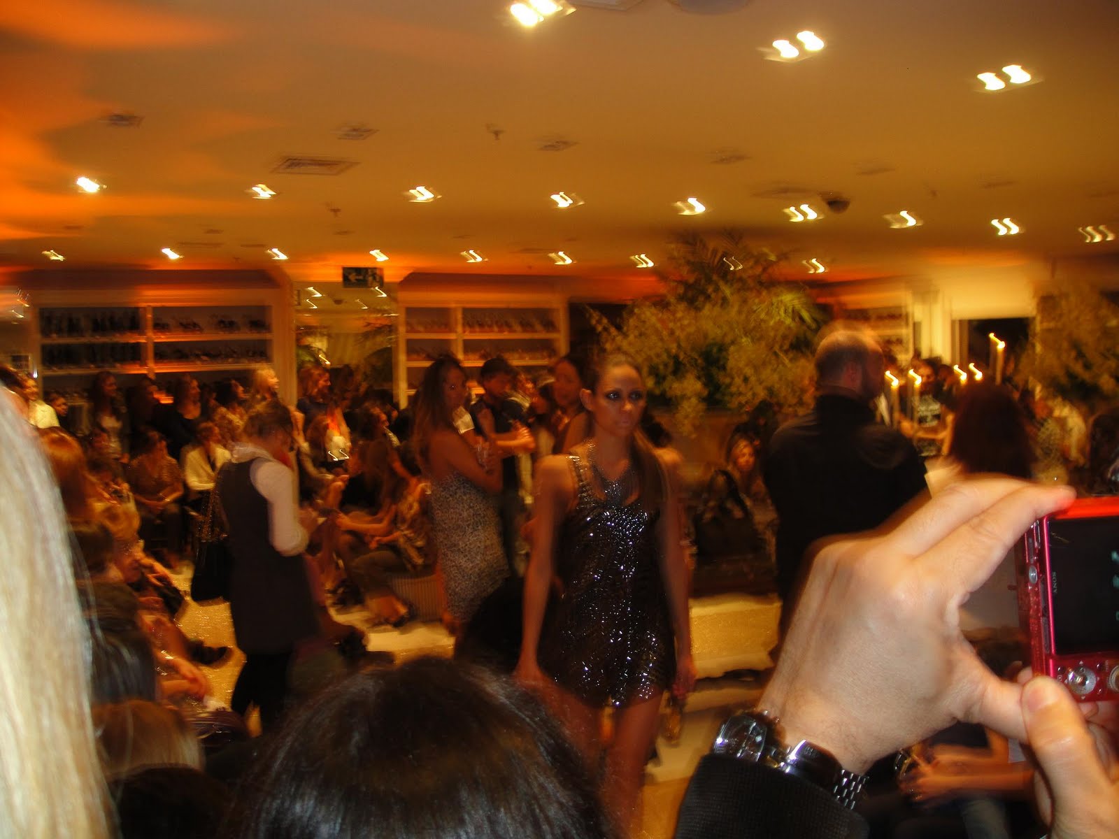 [DSC00030.JPG]