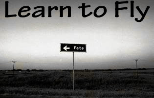 Learn to Fly