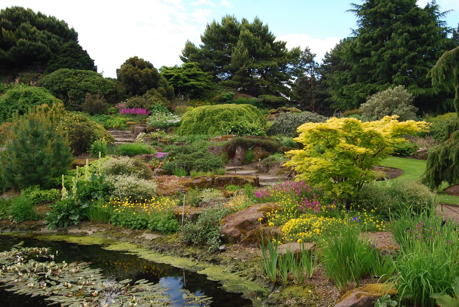 Jason Lattier's Garden Journal: RGB Edinburgh Rock Garden