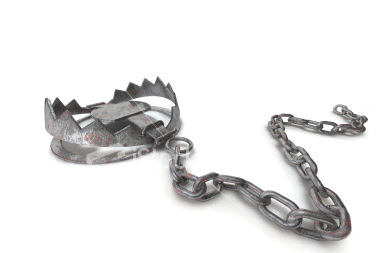 bear-trap1.jpg