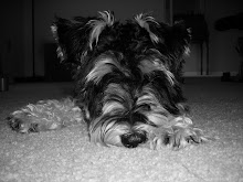 Waylon