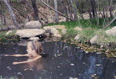 brock hot springs