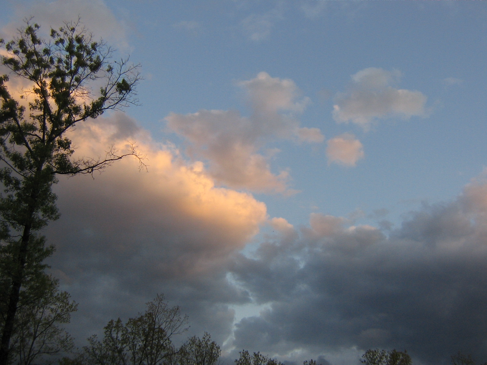 [sunbright+may+2008+064.JPG]